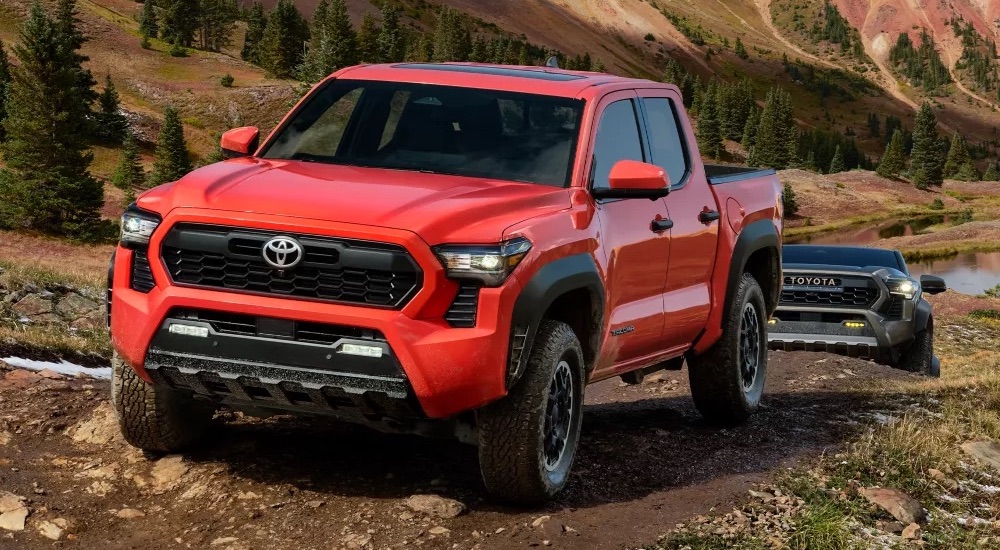 A red 2024 Toyota Tacoma TRD Off-Road driving up a hill with a black 2024 Toyota Tacoma Trailhunter.