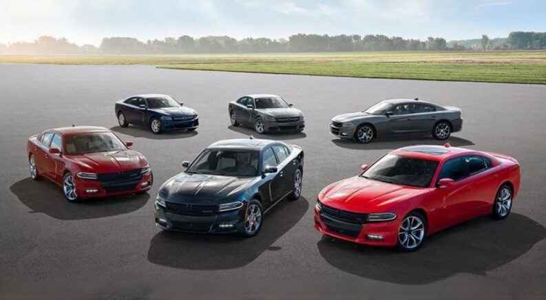 Aerial view of 2015 Dodge Chargers of varying trim levels at a used Dodge dealership.