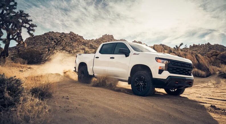 A white 2024 Chevy Silverado 1500 Trail Boss is shown from the front at an angle.