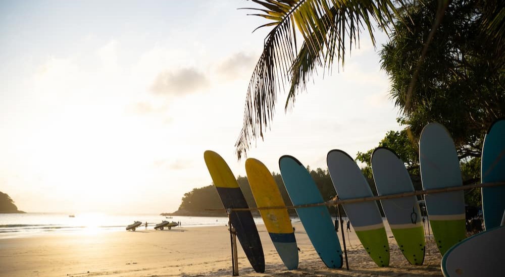 Several surfboards on a beach.