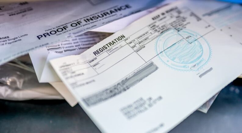 VIN-I, VIDI, VECI: Conquering Your Vehicle’s Unique ID Number