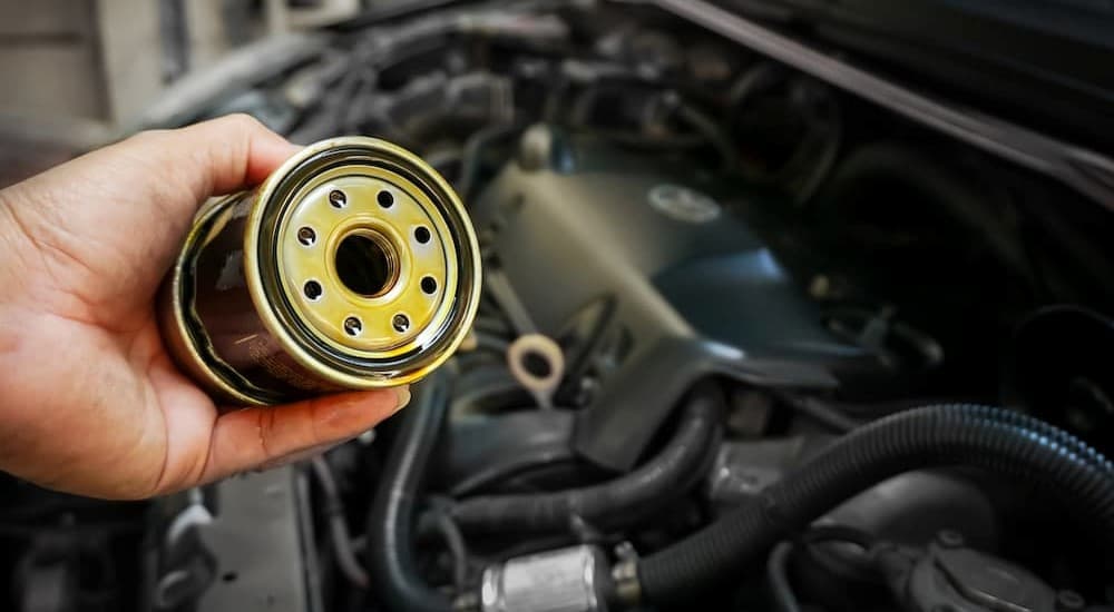A technician holding an oil filter.