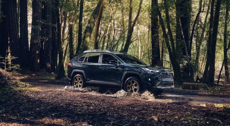 Five Features That Make the New Woodland Trim the Most Adventurous RAV4 Yet