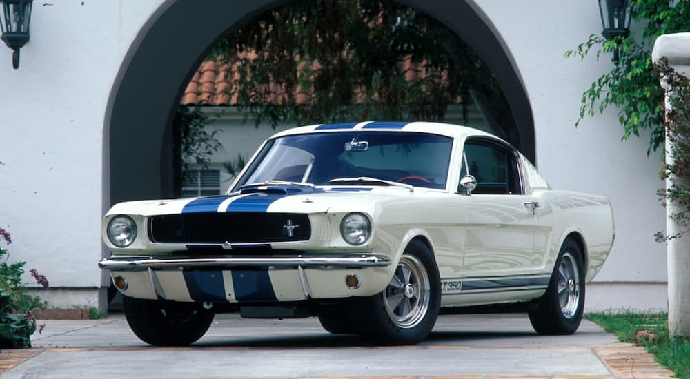 A white and blue 1965 Ford Mustang Shelby GT350 parked on a driveway.
